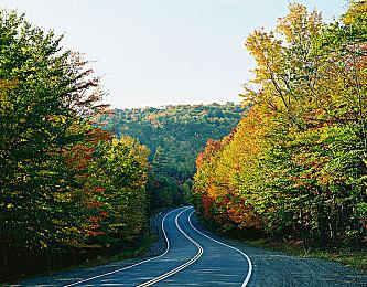 3月8日上市《WWE 2K24》发布全新预告片